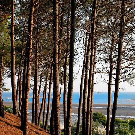 Calme Au Centre D'arcachon, Proche Plages, Commerces Et Gare - Fr-1-420-134 Appartement